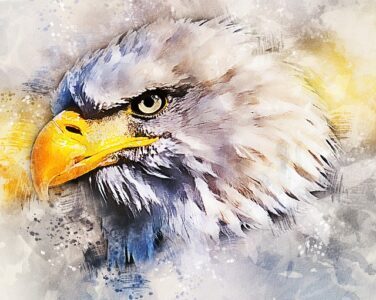 Freedom Fest Sponsor